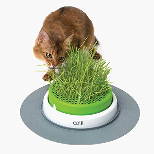 Catit Kit Hierba, 3 Unidades