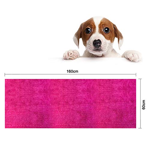 CattleyaHQ 160 * 60cm Toalla para perro de 1 pieza, Toallas de secado rápido de microfibra suave y absorbente, Toallas grandes de secado para perros, gatos y mascotas