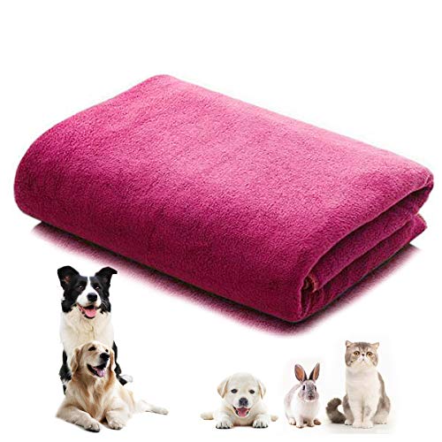 CattleyaHQ 160 * 60cm Toalla para perro de 1 pieza, Toallas de secado rápido de microfibra suave y absorbente, Toallas grandes de secado para perros, gatos y mascotas