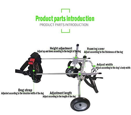 CATWY Silla de Ruedas para Mascotas Ajustable, Adecuada para Mascotas Grandes y pequeñas, reparación de Patas traseras, Varios Modelos para Elegir: Altura (17-51cm), Peso (1.5-25 kg), Mejor Amigo