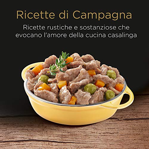 Cesar - Juego de 84 bandejas, 14 bandejas para Sabor: Pollo, arroz, Verduras, Carne de arroz, Pescado, arroz, Verduras, Ternera y Pollo, Carne de Vacuno y Zanahoria y Carne y Pollo, 12,2 kg