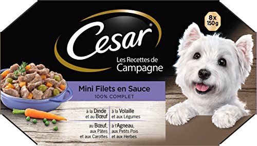 Cesar Les Recettes de Campagne - Barquettes de Mini filets en Sauce pour Chien Adulte aux 4 saveurs, 3 x 8 barquettes de 150g