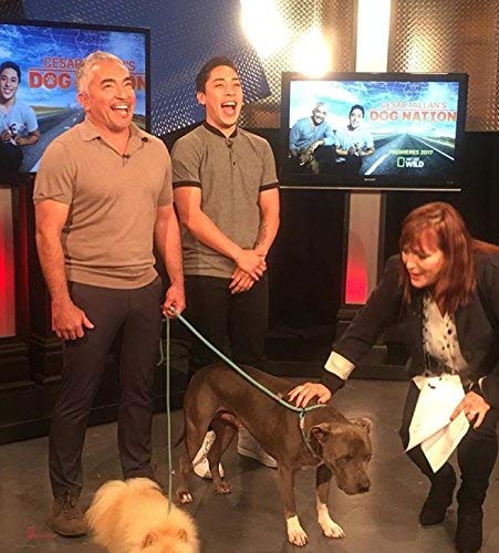 Cesar Millan Cable de Entrenamiento de Nylon