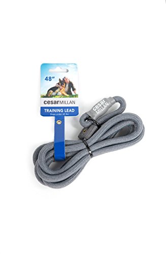 Cesar Millan Cable de Entrenamiento de Nylon