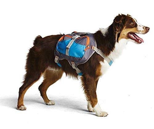 Cesar Millan Mochila para Perros (Pequeño)