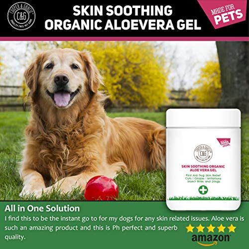 C&G Pets | Skin Soothing Organic Aloe Vera Gel 250ml | 100% Aloe Vera Vitaminas Mineral Amino Acids | Suaviza Calma Refresca Hidrata Insecto Mordido Escamoso Piel Flácida