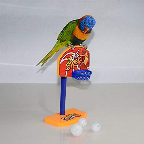 CHIPYHOME Canasta de Baloncesto y 3 Pelotas de Aprendizaje para Loros, periquitos, Canarios, agapornis. Diversion y Entretenimiento garantizados para tu Mascota