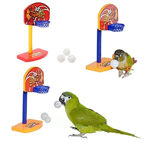 CHIPYHOME Canasta de Baloncesto y 3 Pelotas de Aprendizaje para Loros, periquitos, Canarios, agapornis. Diversion y Entretenimiento garantizados para tu Mascota