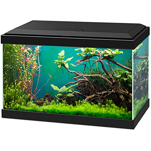 Ciano Aqua 20 Aquarium - 40x 20x31 cm - 17L - Zwart