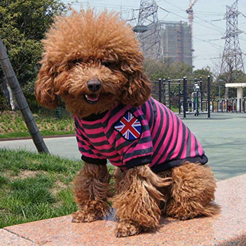 CIDCIJN Ropa para Mascotas,Perro Mascota Raya Fucsia Ropa Verano Gato Cachorro Chaleco para Perros Pequeños Gatos Caniche Faldas Camiseta Perros Mascotas Perros Ropa,M