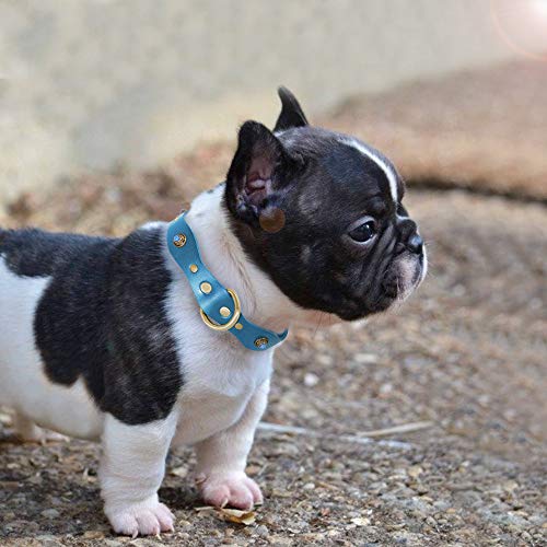 Collar De Perro,Cuello De Perro Suave Y Cómodo Ajustable para Mascotas Collar De Mascota De Cinta De Cuero Azul Personalizado para Perros Collar De Perro Mascota para Perros Pequeños Y Medianos CAC