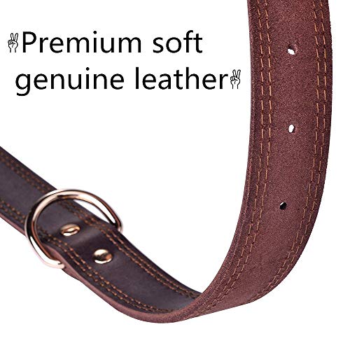 Collar de piel de alta calidad para perro, tacto suave resistente ajustable, perfecto para hombres y mujeres perros pequeños medianos y grandes