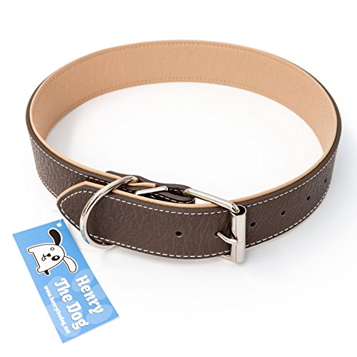 Collar para perro de Rotwiller – XX-Large – Buena calidad superior larga duración – XXL