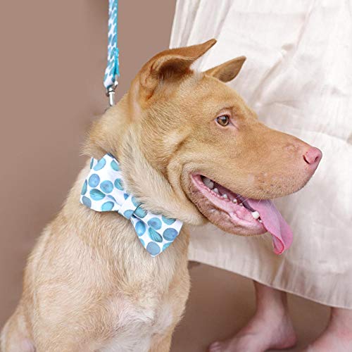 Collar para perros personalizado Nombre y número de teléfono de la mascota Collar de perro con diseño láser grabado para   perros Collares y correas para perros anti-pérdida únicos 5 Tamaños-Co