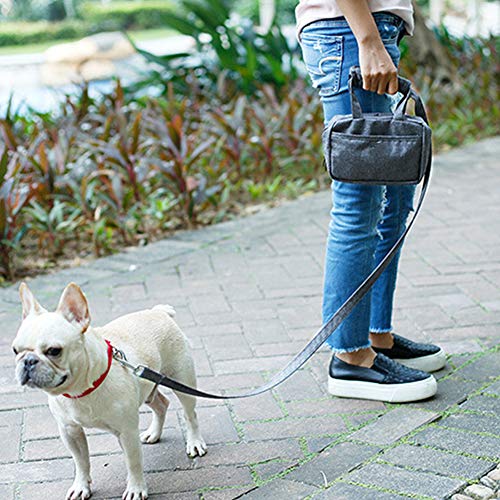 Correa del Perro Bolsa, Treat Formación Bolsa, Bolsa De Entrenamiento del Perro, Impulso Bolsa Dispensador, Lleva Fácilmente Juguetes para Perros, Kibble, Golosinas,Gris