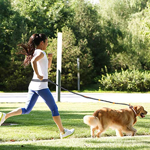 Correa para perros Yuekun para correr, pasear, sin manos, elástica, con correa para el vientre, ajustable, con cinturón deportivo, para perros grandes