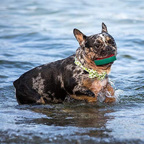 Croci Juguete Refrescante para Perros Fruity, Goma TPR, para Llenar con Agua Y Congelar O Poner En La Nevera Antes De Usar, 11-13Cm. Materias Variadas 10 g