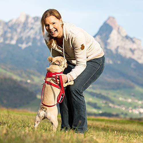 Curli - Arnés para Perro, de Malla Transpirable