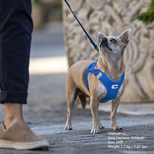 CURLI - Chaleco de malla arnés para perro