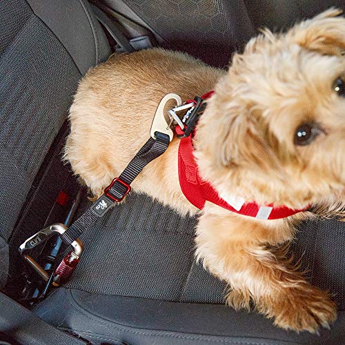 Curli Cinturón de Seguridad para Perros para Coche