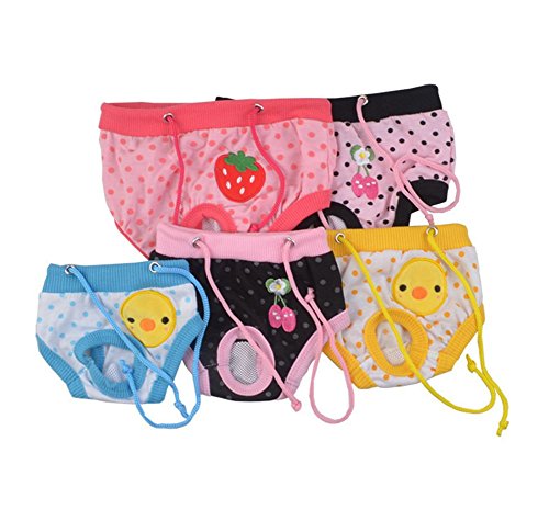 Da.Wa - Bragas sanitarias menstruales menstruales para mascotas, ropa interior para perro, pañales, higiene