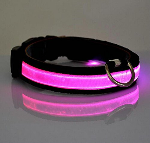 Da.Wa LED Golllar de Perro LED Luz del Collar para los Perros Golgante para Perros