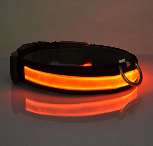 Da.Wa LED Golllar de Perro LED Luz del Collar para los Perros Golgante para Perros