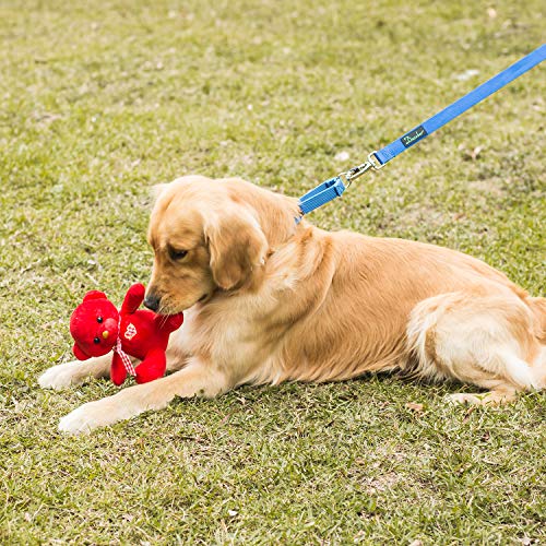 Dazzber Martingal Fuerte Collares para Perro Grande/Mediano/Pequeño, Ajustable - Resistente - No Escapatoria - Color Sólido - Nylon Collar de Perro de Seguridad