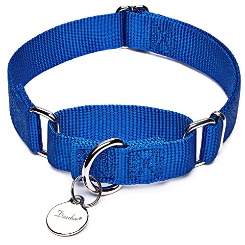 Dazzber Martingal Fuerte Collares para Perro Grande/Mediano/Pequeño, Ajustable - Resistente - No Escapatoria - Color Sólido - Nylon Collar de Perro de Seguridad