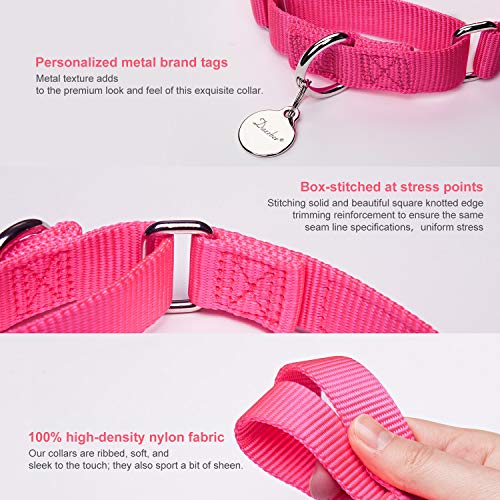 Dazzber Martingal Fuerte Collares para Perro Grande/Mediano/Pequeño, Ajustable - Resistente - No Escapatoria - Color Sólido - Nylon Collar de Perro de Seguridad