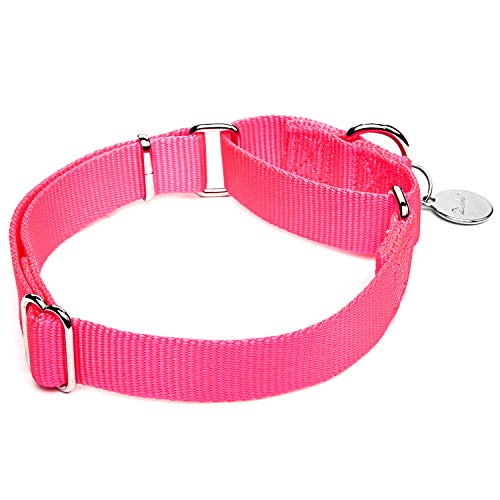 Dazzber Martingal Fuerte Collares para Perro Grande/Mediano/Pequeño, Ajustable - Resistente - No Escapatoria - Color Sólido - Nylon Collar de Perro de Seguridad