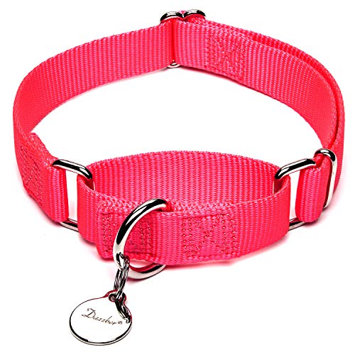 Dazzber Martingal Fuerte Collares para Perro Grande/Mediano/Pequeño, Ajustable - Resistente - No Escapatoria - Color Sólido - Nylon Collar de Perro de Seguridad