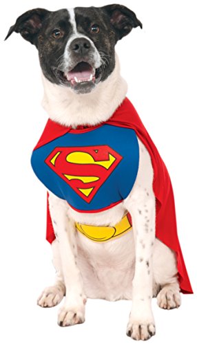 DC Comics - Disfraz de Superman para mascota, Talla XL perro (Rubie's 887892-XL)