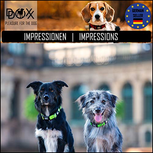 DDOXX Collar Perro Air Mesh, Ajustable, Acolchado | Diferentes Colores & Tamaños | para Perros Pequeño, Mediano y Grande | Collares Accesorios Gato Cachorro | Negro, L