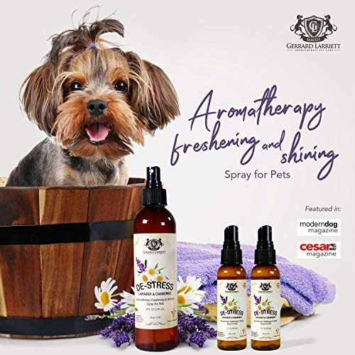 De-Stress Lavanda y Manzanilla Aromaterapia Refrescar y brillante en spray para los animales domésticos, la preparación del perro del aerosol, Perfume Perro, Perro de Colonia y Pet Odor Eliminator