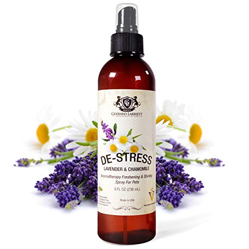 De-Stress Lavanda y Manzanilla Aromaterapia Refrescar y brillante en spray para los animales domésticos, la preparación del perro del aerosol, Perfume Perro, Perro de Colonia y Pet Odor Eliminator