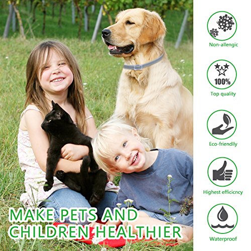 DEWEL Collares Antiparasitos para Perros y Gatos contra Pulgas,Garrapatas y Mosquitos,Tamaño Ajustable e Impermeable para Mascota Pequeño Mediano