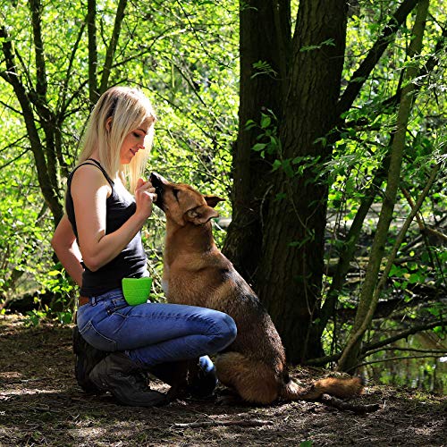 Dibea Bolsa de Comida de Silicona para Perros Bolsa de Entrenamiento Bolsa de golosina Verde