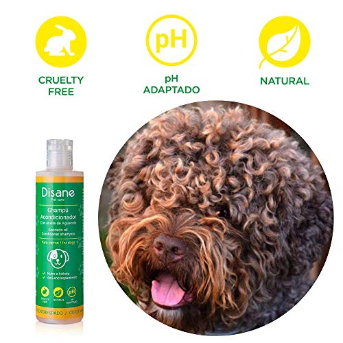 DISANE Champú Acondicionador Perros Pelo Rizado y Encrespado Natural 250ml | Aceite de Aguacate | Nutre y repara en Profundidad, evitando el encrespamiento. Pelo Suave y Brillante, sin Nudos