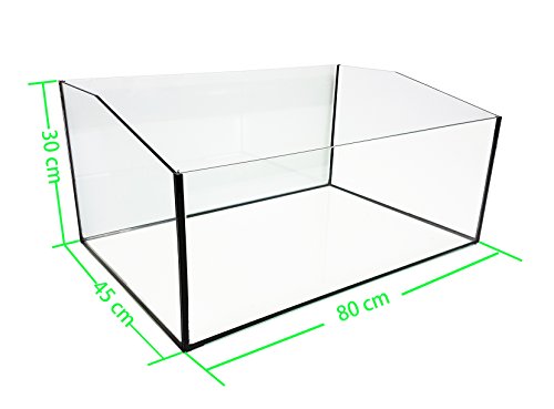 Diseño Planet Kit terrarios para Reptiles Tortuga acuático 60 x 40 x 28 cm