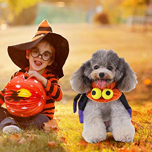 Disfraz De Mascota Halloween Con Cuello Araña Para Mascotas Con Bufanda De Spiderman Elizabeth Círculo Protector Cuello Gato Perro Decoración Divertida Cuello Mascota Cachorro Gato Accesorios Vestir