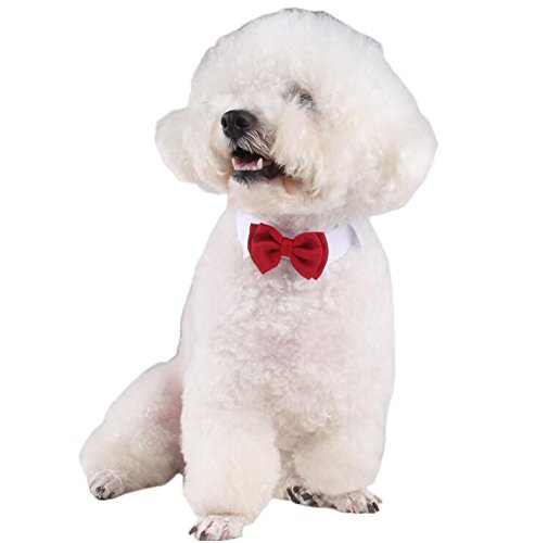 Diyafas 2 x Corbata de Mascota Collar Ajustable de Algodón Pajarita Roja Formal Bowknot para Pequeño Gato Perro Perrito