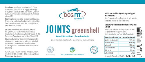 DOG FIT by PreThis® Joints greenshell | Extracto de mejillón de Labios Verdes para Perros | para Dolor en Las articulaciones, artrosis (Desgaste de Las articulaciones) | para el líquido sinovial