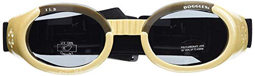 Doggles ILS – Gafas de Sol para Perros (Extra-pequeñas (tamaño Grande)