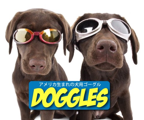 Doggles ILS - Marco de Llamas de Carreras (tamaño Mediano, Lentes Naranjas)