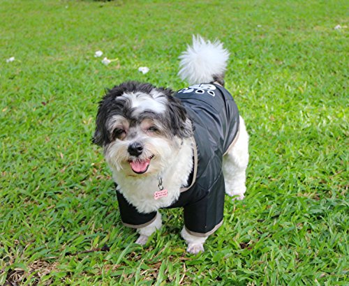 Doggy Dolly DR055 - Camiseta de Perro (Talla L), Color Negro