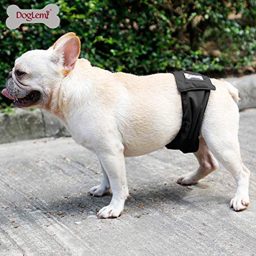 Doglemi Pañales lavables para perros machos [3 unidades], bragas higiénicas para adiestramiento de perros, 6 tamaños disponibles (S: 30-40cm)