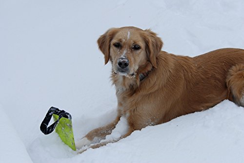 Dogs and More - Muñeco de entrenamiento (con compartimento para golosinas y bolsa de transporte)