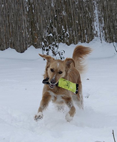 Dogs and More - Muñeco de entrenamiento (con compartimento para golosinas y bolsa de transporte)