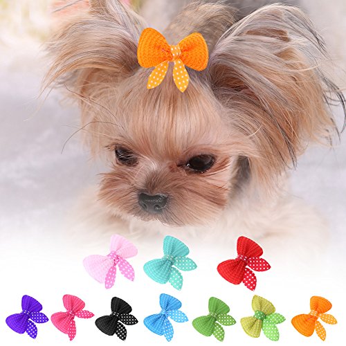 Domybest lindo perro gato belleza suministros lazos horquilla mascota pelo Clip Hebrón Pack de 10